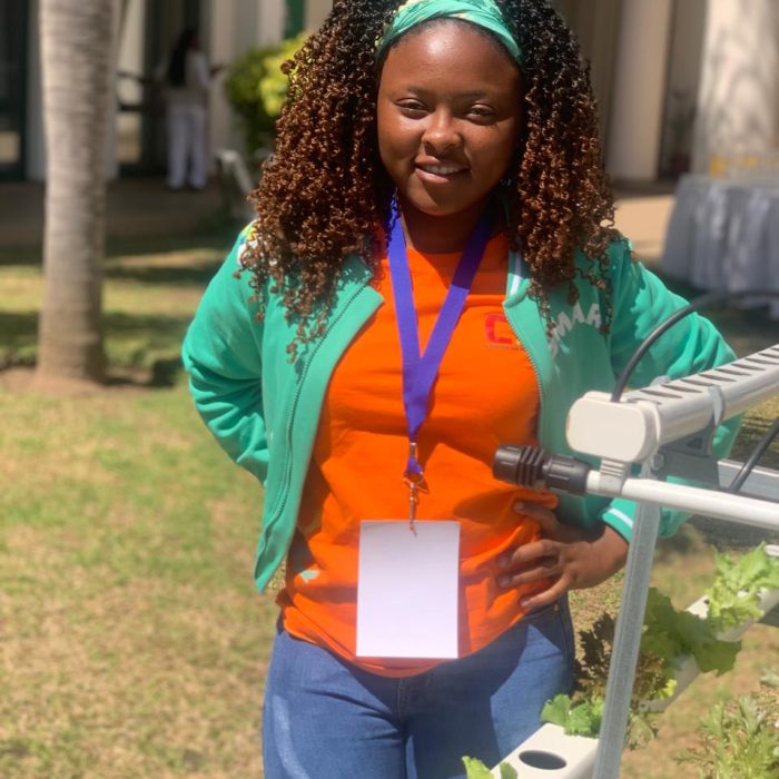 BSF EcoFarm - Dinércia Orlando